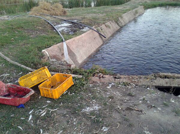 В Ташкенте продолжается работа по очистке водоемов - Sputnik Узбекистан