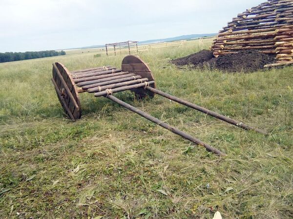 Пощекочут нервы иностранцам: экстремальное реалити-шоу запускают в Казахстане - Sputnik Узбекистан