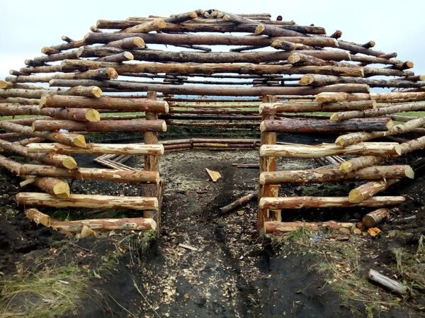 Пощекочут нервы иностранцам: экстремальное реалити-шоу запускают в Казахстане - Sputnik Узбекистан