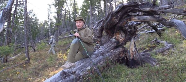 СПУТНИК_Отдых президента: грибы, ягоды и прогулки по горам в Туве - Sputnik Узбекистан