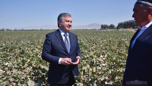 Президент Узбекистана Шавкат Мирзиёев посетил поле фермерского хозяйства Юсупов Гофуржон файз Бекабадского района - Sputnik Узбекистан