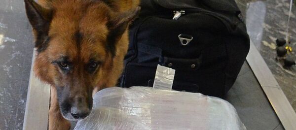 Работа таможни - Sputnik Узбекистан