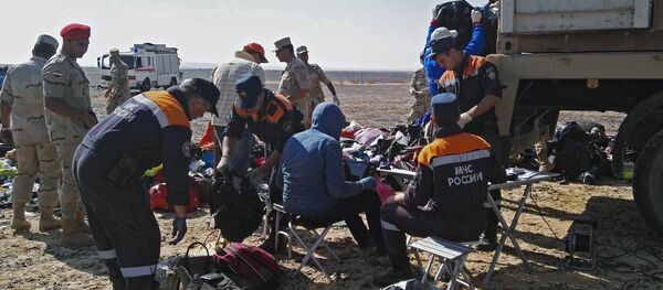 Поисковые работы на месте крушения российского Airbus A321 в Египте Поисковые работы на месте крушения российского Airbus A321 в Египте - Sputnik Узбекистан