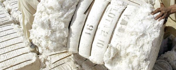 Хлопок - Sputnik Узбекистан