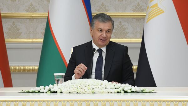 Президент Узбекистана Шавкат Мирзиёев во время переговоров с президентом Египта Ас-Сиси - Sputnik Узбекистан