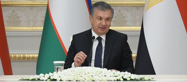 Шавкат Мирзиёев Миср президенти билан мулоқотни юқори баҳолади - Sputnik Узбекистан