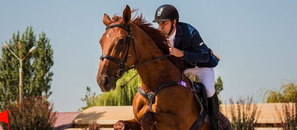 FEI World Jumping Challenge проходит в Узбекистане FEI World Jumping Challenge проходит в Узбекистане - Sputnik Ўзбекистон