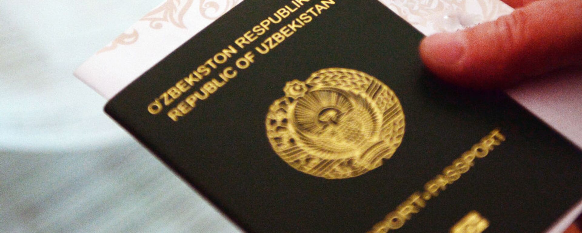 Паспорт гражданина Узбекистана - Sputnik Узбекистан, 1920, 15.09.2020