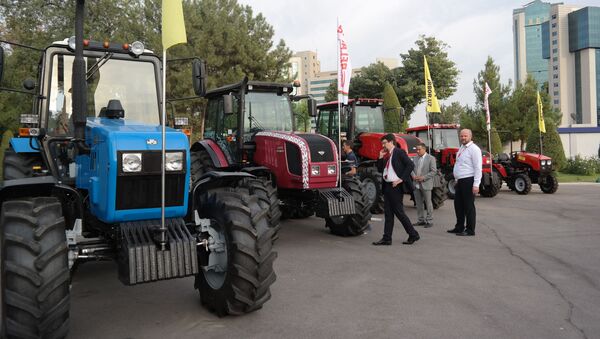 Белорусские тракторы на выставке в Ташкенте - Sputnik Ўзбекистон