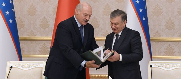 Диктатура в хорошем смысле: как Лукашенко и Мирзиёев шутили о серьезном - Sputnik Узбекистан