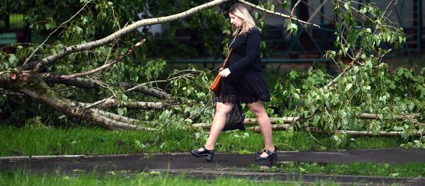 Последствия урагана в Москве Последствия урагана в Москве - Sputnik Узбекистан