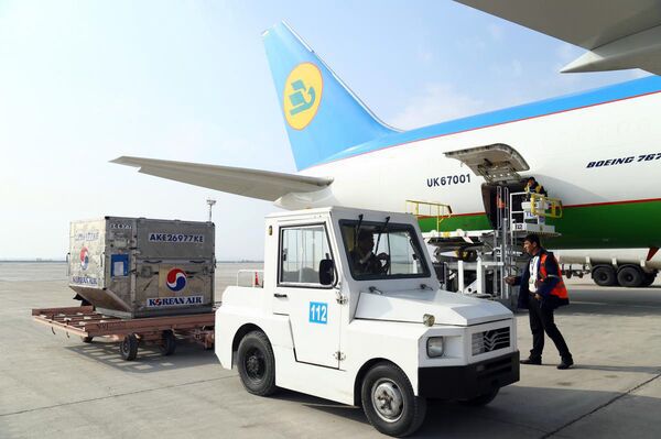 UzAirways планирует в 2018 году перевезти три миллиона пассажиров UzAirways планирует в 2018 году перевезти три миллиона пассажиров - Sputnik Узбекистан