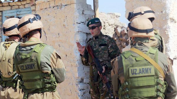 Узбекские и таджикские военные уничтожили боевиков - Sputnik Узбекистан