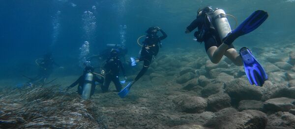 Дайверы - Sputnik Узбекистан