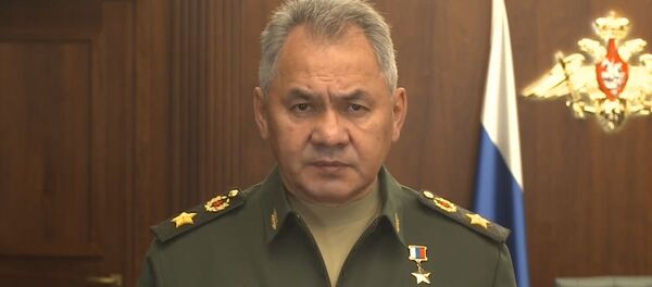 Сергей Шойгу о передаче Сирии комплексов С-300 - Sputnik Узбекистан