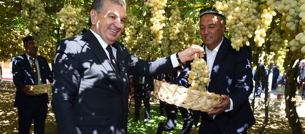 Шавкат Мирзиёев знакомится с продукцией фермерского хозяйства в Таджикистане Шавкат Мирзиёев знакомится с продукцией фермерского хозяйства в Таджикистане - Sputnik Узбекистан