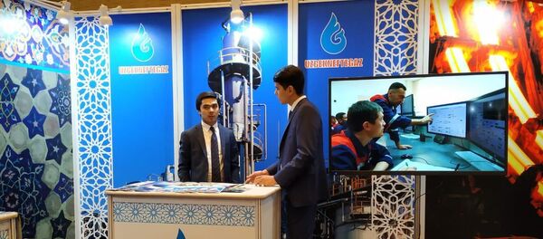 Стенд компании Узбекнефтегаз на узбекско-индийском бизнес-форуме в Дели Стенд компании Узбекнефтегаз на узбекско-индийском бизнес-форуме в Дели - Sputnik Ўзбекистон