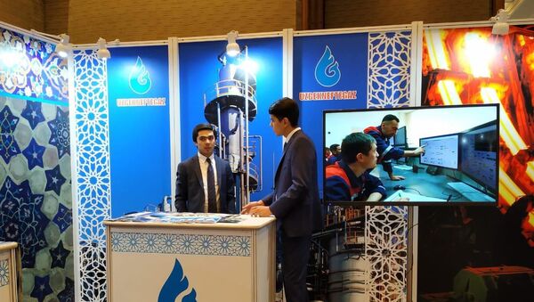 Стенд компании Узбекнефтегаз на узбекско-индийском бизнес-форуме в Дели - Sputnik Узбекистан