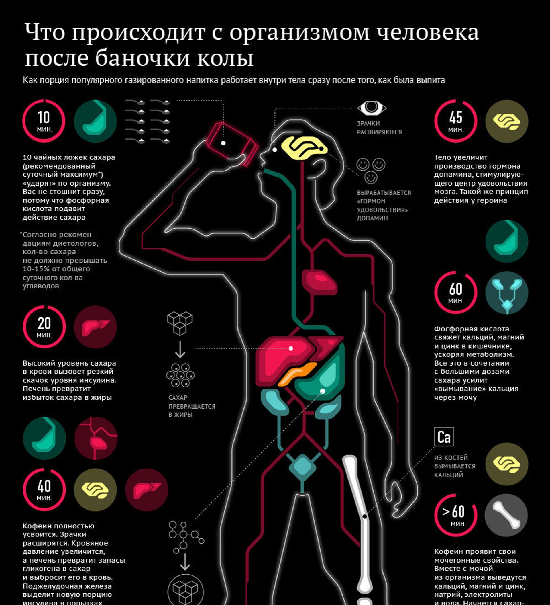 Наука удовольствий. Инфографика влияние на организм. Инфографика. Тело человека. Инфографика люди. Что происходит в организме.
