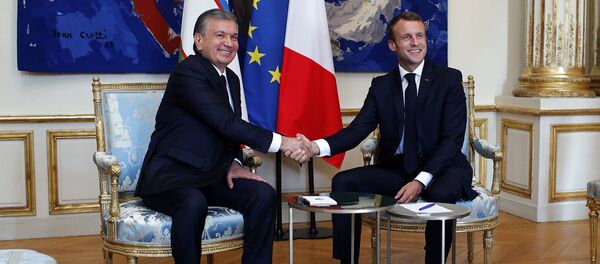 Ўзбекистон президенти Шавкат Мирзиёев ва Франция президенти Эммануэл Макрон учрашуви. Ўзбекистон президенти Шавкат Мирзиёев ва Франция президенти Эммануэл Макрон учрашуви. - Sputnik Ўзбекистон