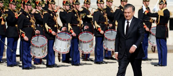 Как Мирзиёева встретили бы в Казахстане - Sputnik Узбекистан