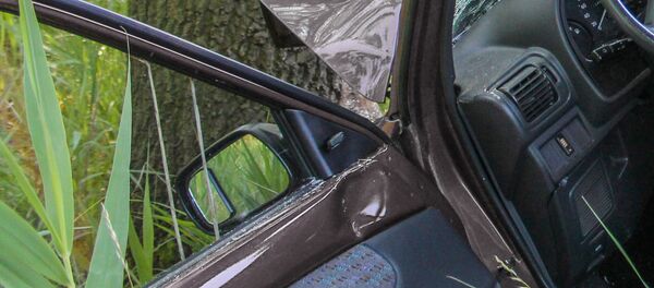 Машина врезалась в дерево. Иллюстративное фото - Sputnik Узбекистан