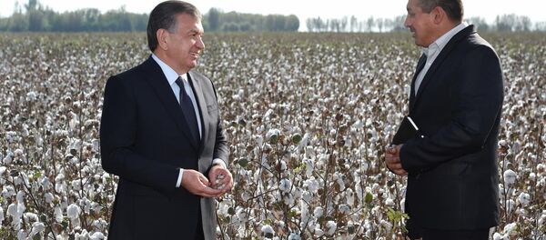 Шавкат Мирзиёев посетил посетил Букинский район Ташкентской области - Sputnik Ўзбекистон