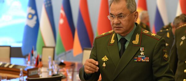 Шойгу попросил коллег из СНГ помочь в создании мультимедийного музея ВОВ Шойгу попросил коллег из СНГ помочь в создании мультимедийного музея ВОВ - Sputnik Ўзбекистон