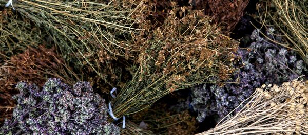 Лечебные травы на рынке выходного дня в Цхинвале. Лечебные травы на рынке выходного дня в Цхинвале. - Sputnik Ўзбекистон