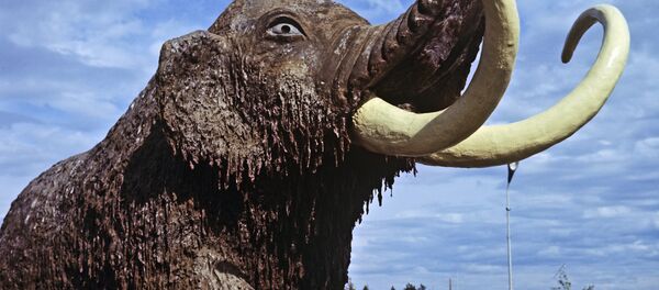 Фигура мамонта Фигура мамонта - Sputnik Узбекистан