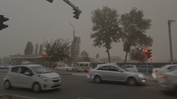Сильная буря в Ташкенте парализовала движение транспорта - Sputnik Узбекистан