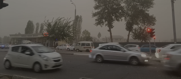 Сильная буря в Ташкенте парализовала движение транспорта Сильная буря в Ташкенте парализовала движение транспорта - Sputnik Ўзбекистон