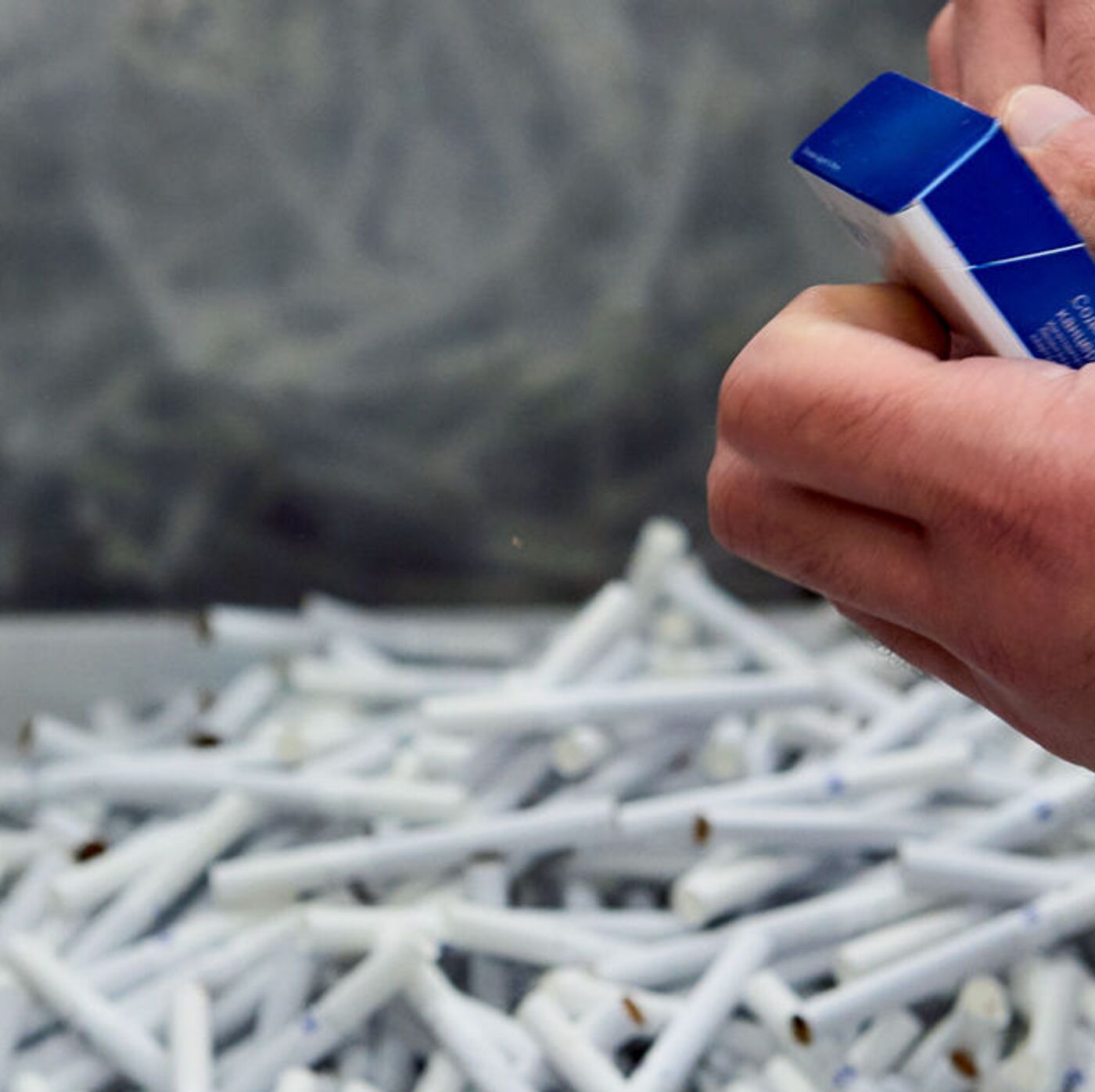 Yalangoch Anna Sedakova video