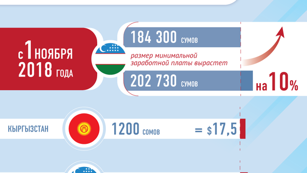 Минимальная зарплата в странах Центральной Азии - Sputnik Узбекистан