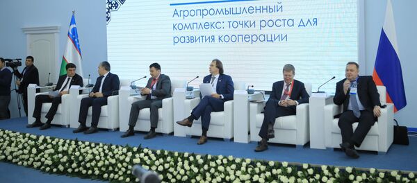 Панельная дискуссия в рамках межрегионального российско-узбекского форума в Ташкенте - Sputnik Узбекистан