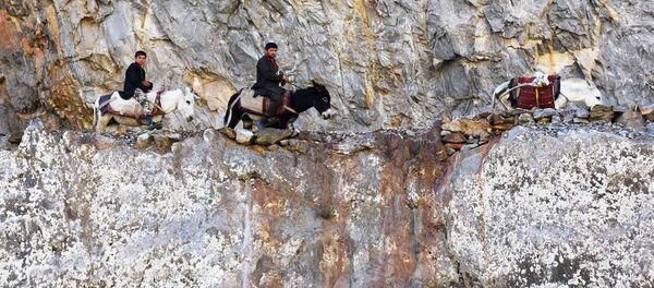 Страны мира. Таджикистан Страны мира. Таджикистан - Sputnik Ўзбекистон