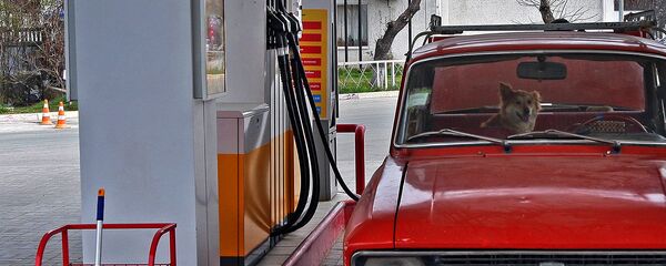 АЁҚШ ва АЗЛК АЁҚШ ва АЗЛК - Sputnik Ўзбекистон