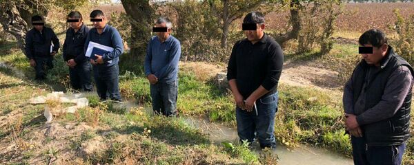 Фермеры, якобы наказанные за невыполнение плана по сбору хлопка - Sputnik Ўзбекистон