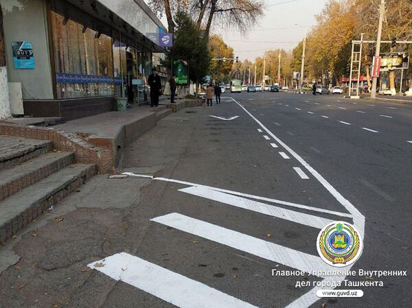 В Ташкенте появилась дорожная разметка для движения на велосипедах - Sputnik Узбекистан