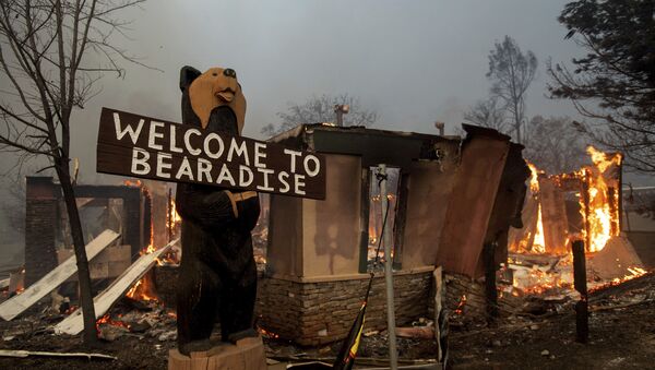 Пожар в городе Парадайз, штат Калифорния, США - Sputnik Узбекистан