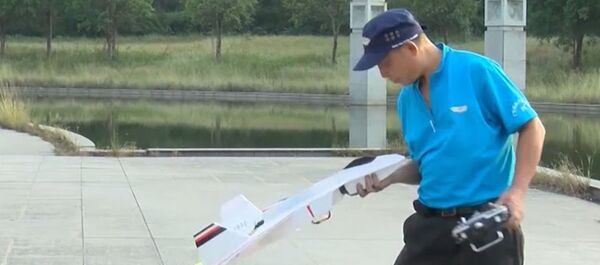 65-летний китаец мастерит авиамодели самолетов - Sputnik Узбекистан