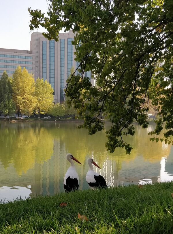 Хранилище солнца и хаос дорог, или Три сюрприза от Ташкента - Sputnik Узбекистан